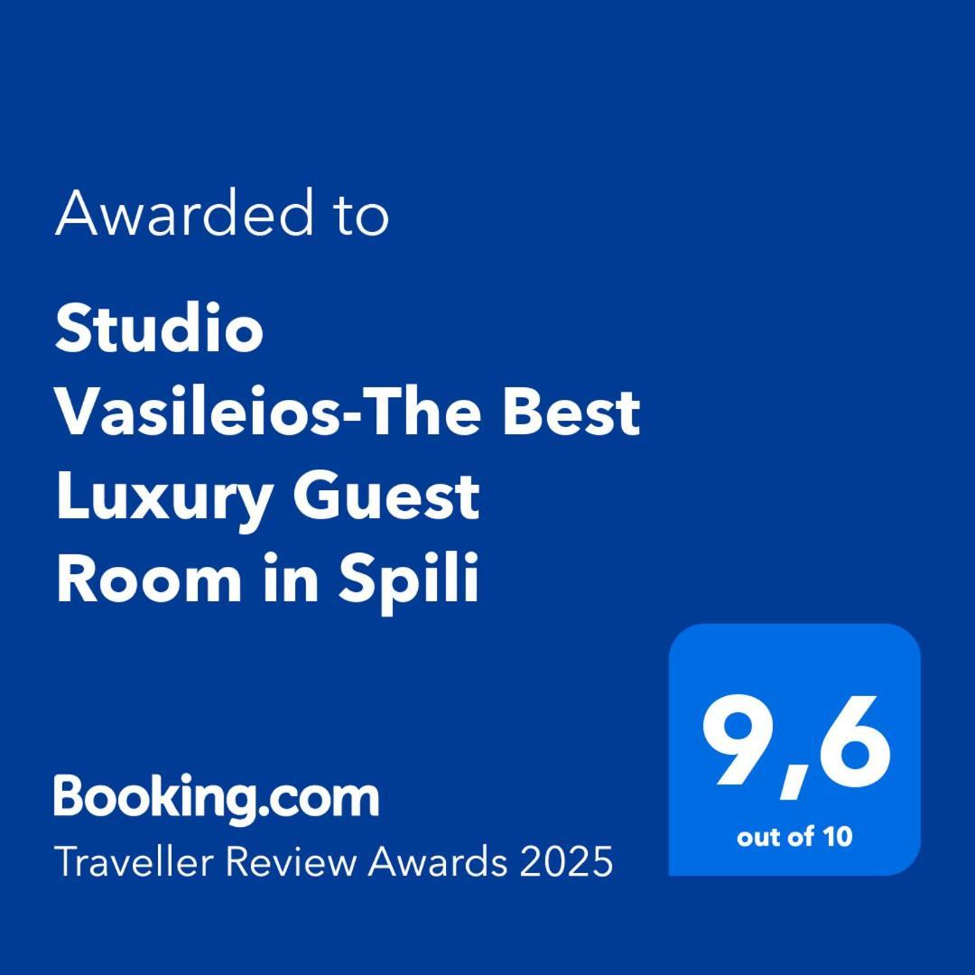 Studio Vasileios-The Best Luxury Guest Room In Spili Spilion Exterior photo
